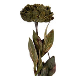 Clayre & Eef | Kunstbloem Groen 10x10x65 cm | 6PL0405CH Clayre & Eef | Kunstbloem Groen 10x10x65 cm | 6PL0405CH