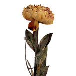Clayre & Eef | Kunstbloem Oranje Groen 10x10x65 cm | 6PL0405O Clayre & Eef | Kunstbloem Oranje Groen 10x10x65 cm | 6PL0405O