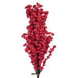 Clayre & Eef | Decoratie tak met bloemen Roze Groen 15x10x100 cm | 5PL0168F Clayre & Eef | Decoratie tak met bloemen Roze Groen 15x10x100 cm | 5PL0168F