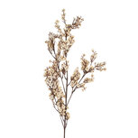 Clayre & Eef | Kunstbloem Wit Bruin 10x8x104 cm | 5PL0200W Clayre & Eef | Kunstbloem Wit Bruin 10x8x104 cm | 5PL0200W